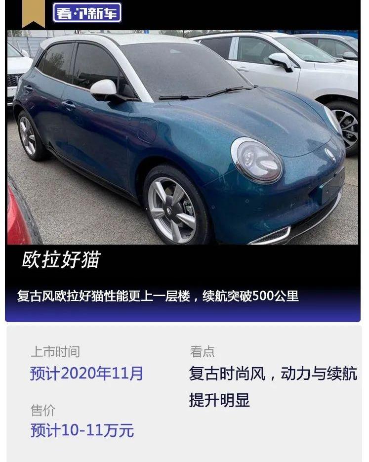 欧拉,欧拉好猫,大众,MINI,保时捷