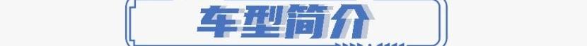福特,领裕,星途,星途瑶光