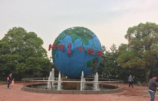 福特,福睿斯,长安