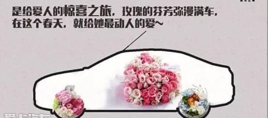 福睿斯,福克斯