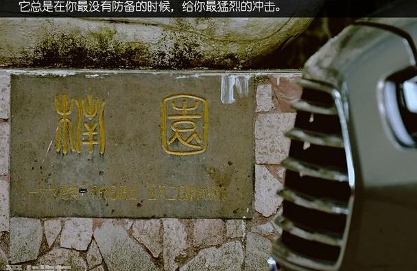 福特,福睿斯,福克斯