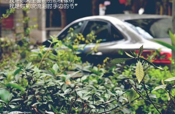 福特,福睿斯,福克斯