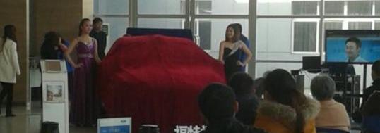 福睿斯,福特,长安,中兴