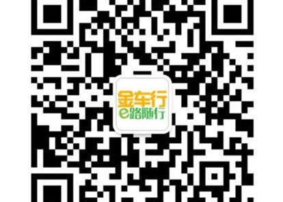 福特,福睿斯,长安