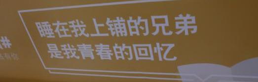 福睿斯,福特,长安