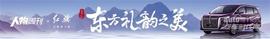 红旗,红旗HQ9,现代,大众,仰望