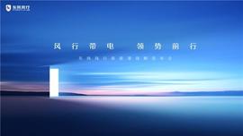 东风,东风风行,777,菱智,风行S50 EV