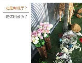 奔驰,奔驰C级,奔驰GLA,奔驰A级