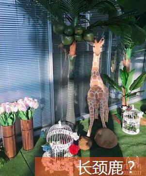 奔驰,奔驰C级,奔驰GLA,奔驰A级