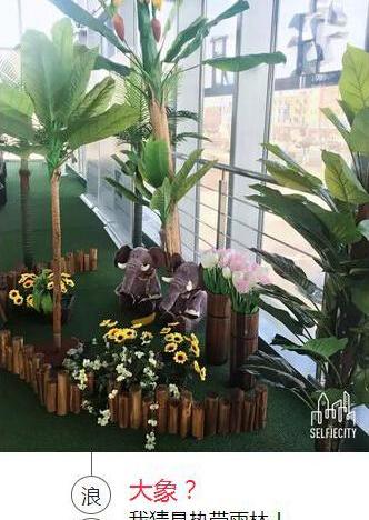 奔驰,奔驰C级,奔驰GLA,奔驰A级