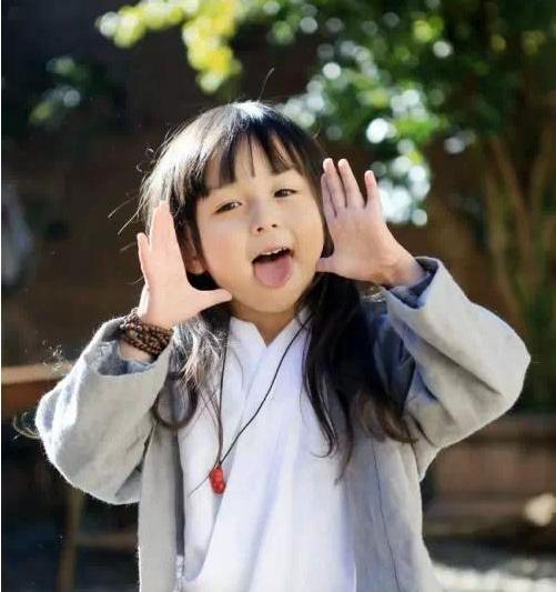 汉,奥迪