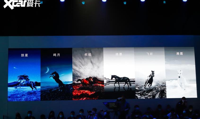 Mustang,福特,特斯拉,Model Y,长安
