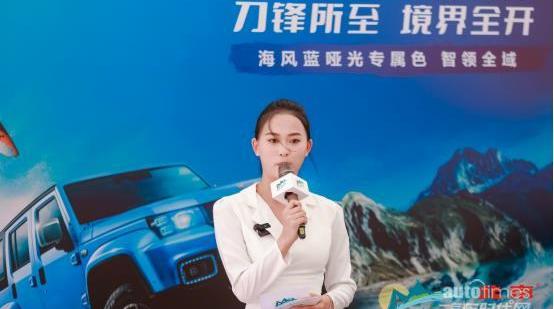 北京,汉,炮,仰望,远程