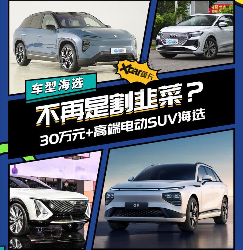 奥迪,特斯拉,蔚来,小鹏