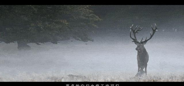 理念,大众