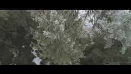 理念,大众