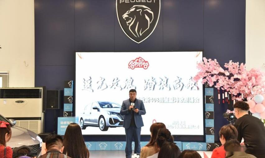 东风,标致,汉,理念,现代