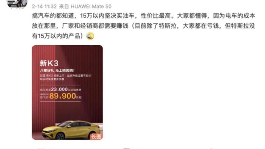 起亚,比亚迪,起亚K3,狮铂拓界,特斯拉