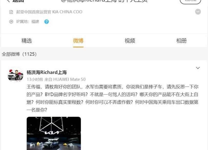 起亚,比亚迪,起亚K3,狮铂拓界,特斯拉