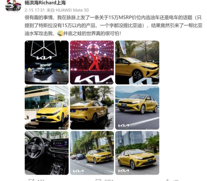 起亚,比亚迪,起亚K3,狮铂拓界,特斯拉