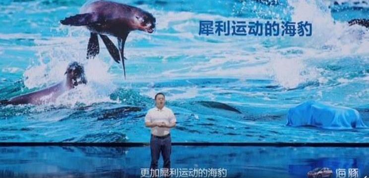 海豹,比亚迪,驱逐舰05,汉,海豚