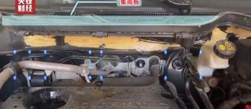 特斯拉,英菲尼迪,福特,日产,英菲尼迪QX60