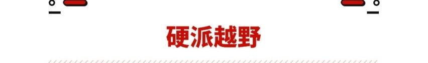 高尔夫,Mustang,马自达,雪佛兰,思域