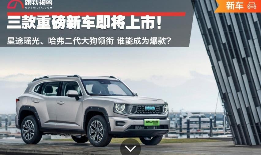 丰田,哈弗,星途,星途瑶光,哈弗二代大狗
