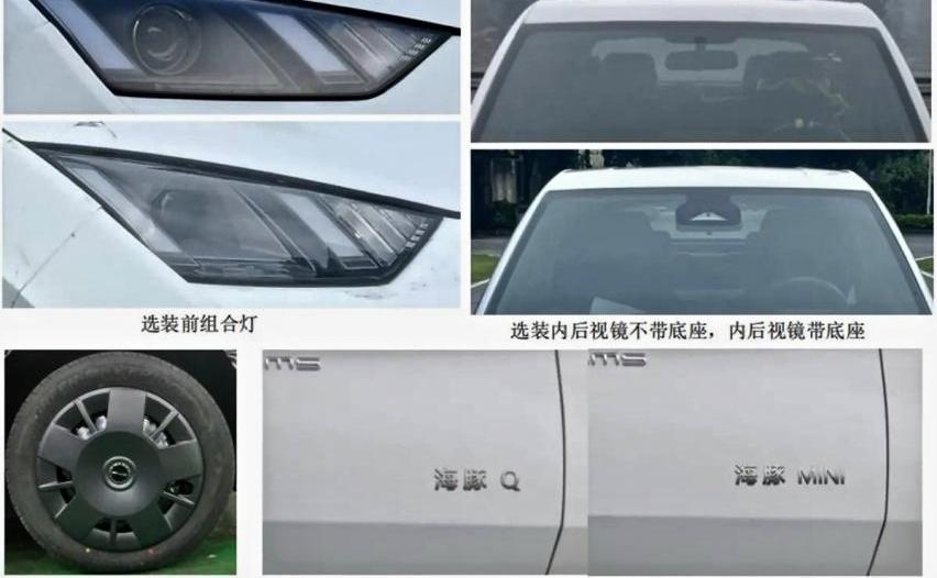 皇冠,比亚迪,海鸥,海豚,丰田