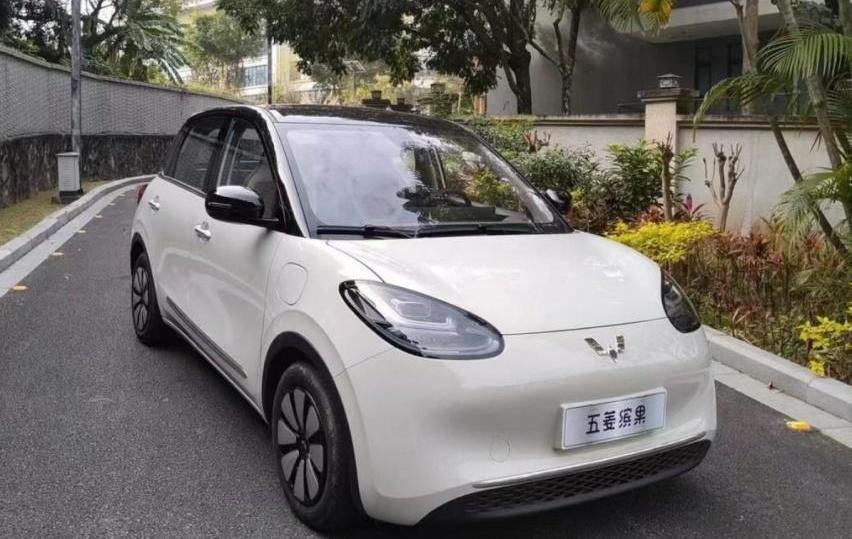 五菱缤果,江南U2,比亚迪,MINI,宝骏KiWi EV