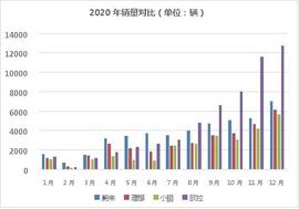 欧拉,长城,欧拉好猫,蔚来,小鹏