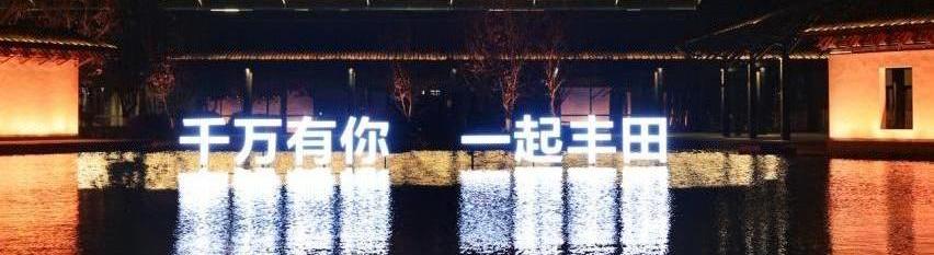 丰田,一汽,皇冠,昂扬,卡罗拉