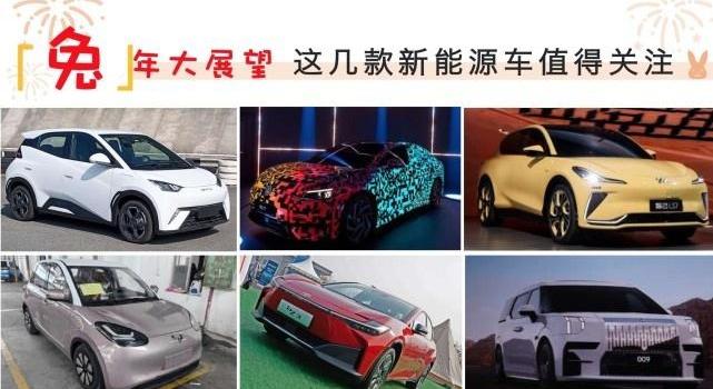 大众,极氪,比亚迪,智己LS7,海鸥