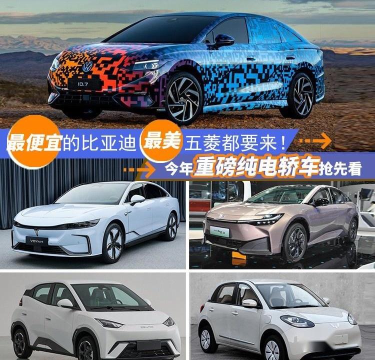 比亚迪,丰田,大众,海豚,海鸥