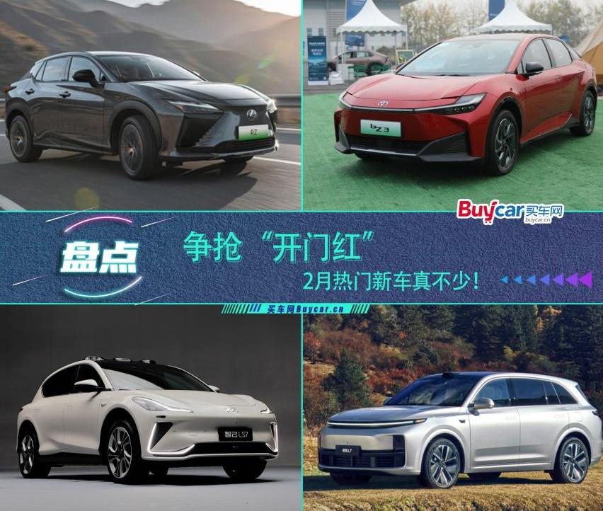 智己LS7,丰田,雷克萨斯,理想L7,卫士