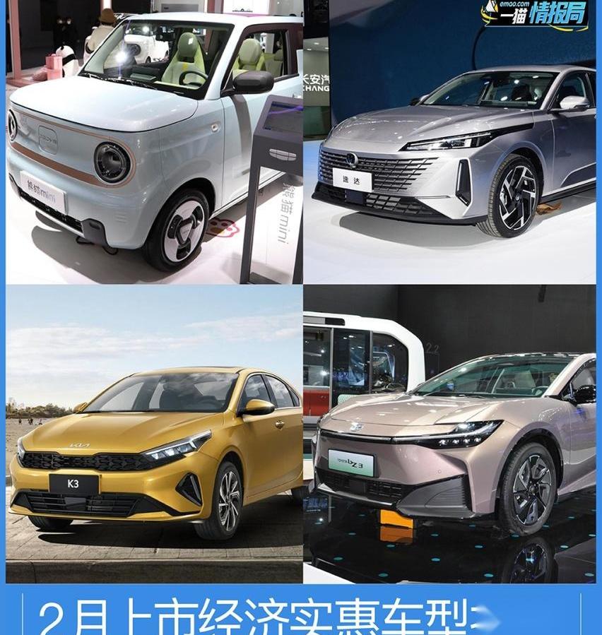 熊猫mini,远程,逸达,理念,长安