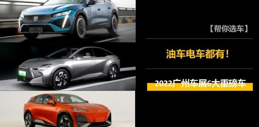 红旗,标致,长安,锐界,比亚迪