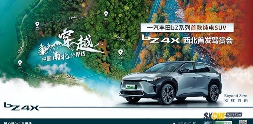 丰田,一汽,理念,比亚迪,DS