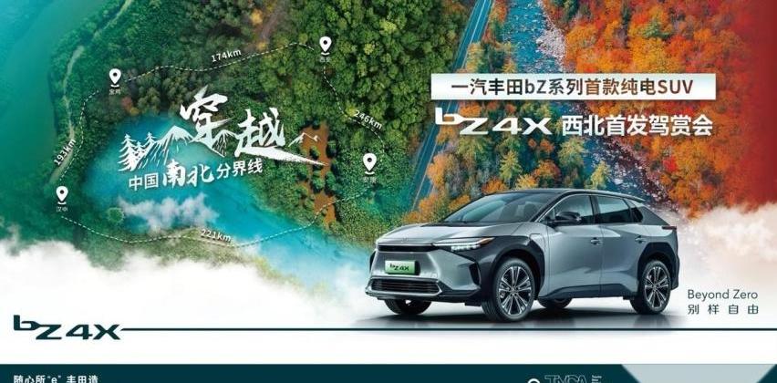 丰田,一汽,理念,比亚迪,DS