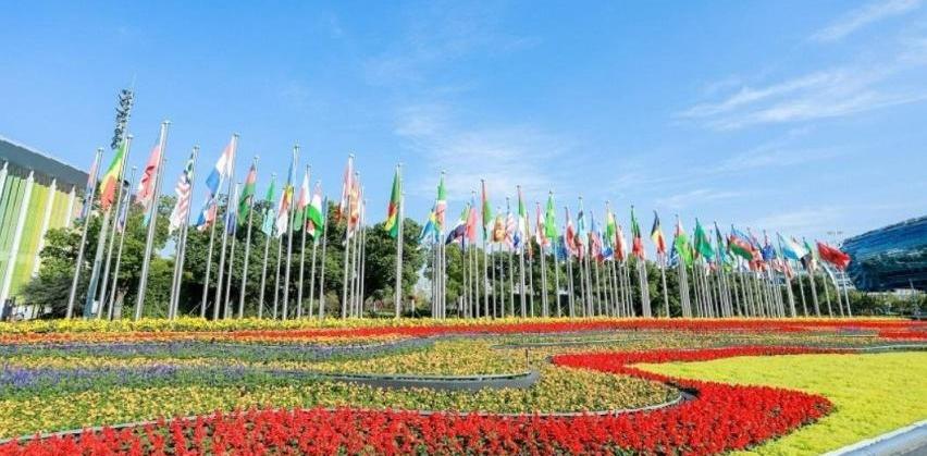 大众,特斯拉,宝马,丰田,奥迪