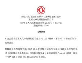 东风,标致,雪铁龙,汉,DS