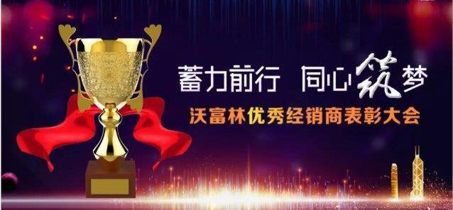 理念,DS,大众,合创,凯歌