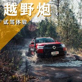 炮,长城,哈弗,哈弗H9,坦克