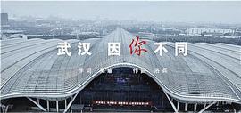 东风,汉,雪铁龙,北京,皇冠