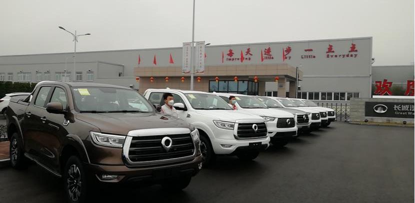 长城,汉,远程,理念,炮