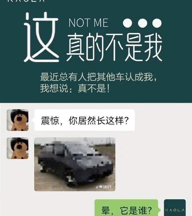 欧拉,海豚,零跑T03,比亚迪,长城