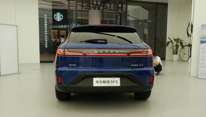 赛力斯SF5,极狐 阿尔法S