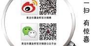新海狮,金杯,金杯海狮
