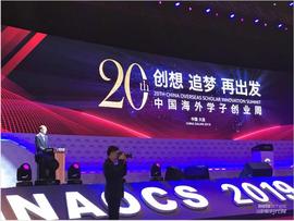 奥迪,宝马,北京,大众,长城