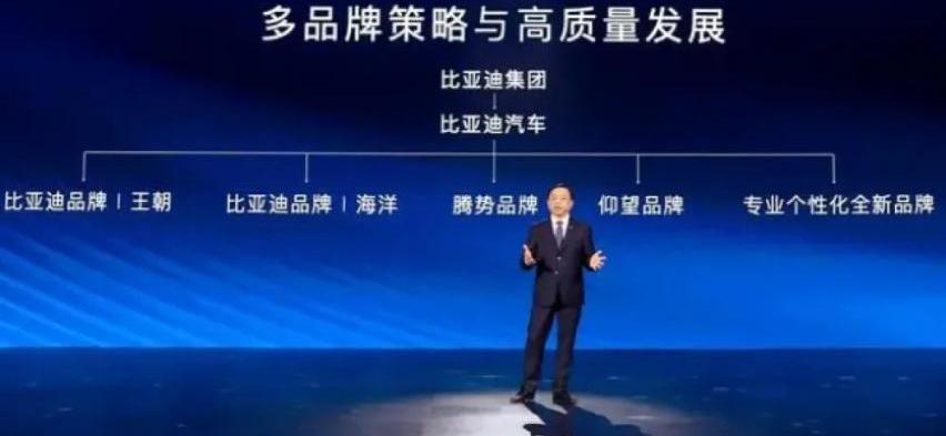 比亚迪,仰望,腾势,坦克,坦克300
